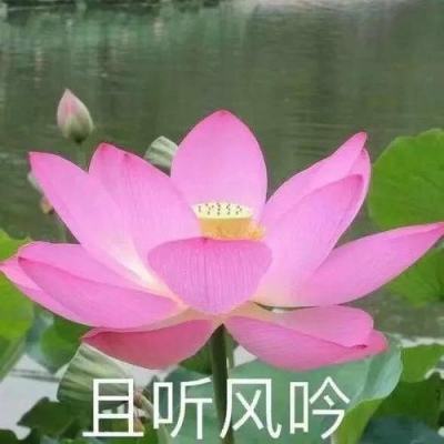 【境内疫情观察】江苏新增12例本土病例（7月23日）